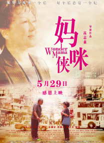 性感美丽之夜